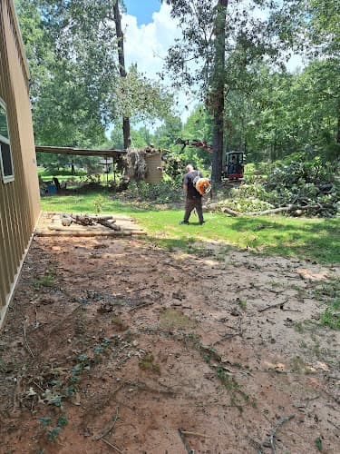 Steve & Sons Tree Service and Land Clearing