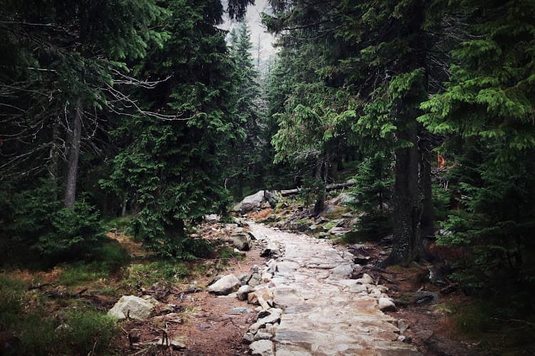 Trail Investigations, LLC