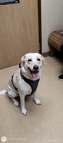 Cypress Animal Clinic