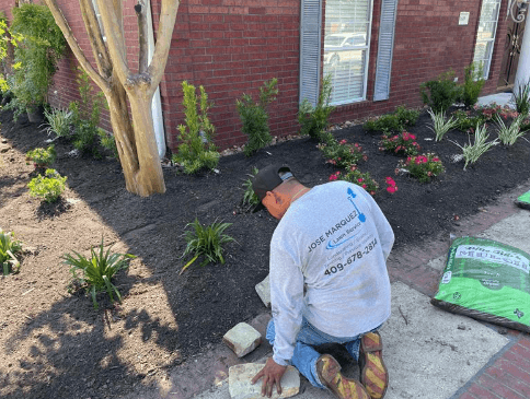 Jose Marquez Lawn Service