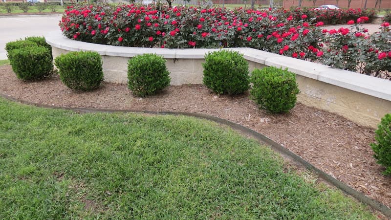 Rodriguez Lawn Care Service