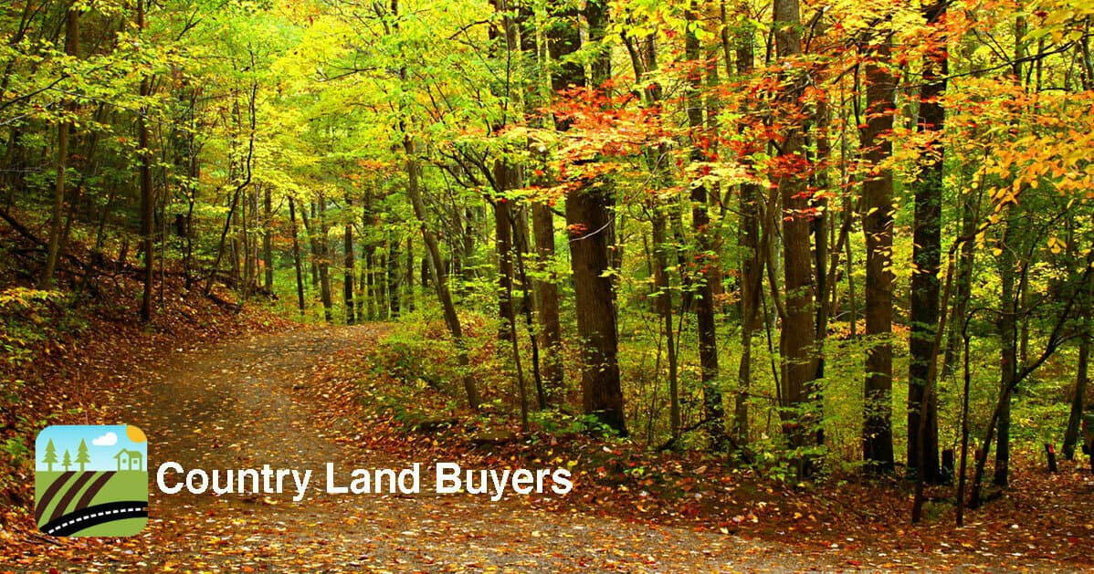 Harris Land And Timber Company, Llc