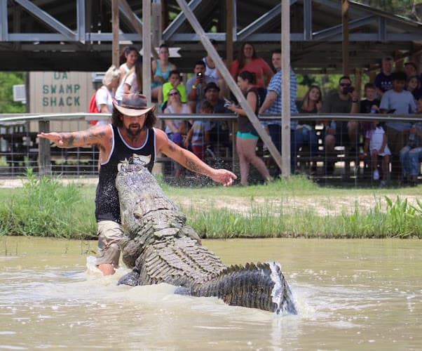 Gator Country in Beaumont, TX