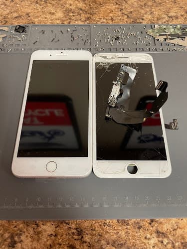 Texas Cellular Repair