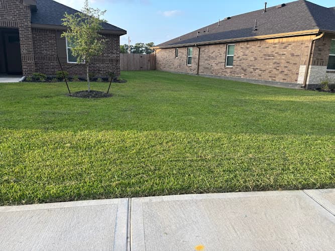 Pura Vida Lawn Care and Landscaping Solutions in Port Arthur, TX