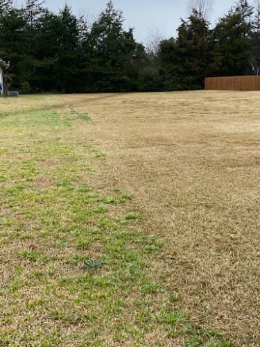 Evergreen Lawn Care in Nacogdoches, TX