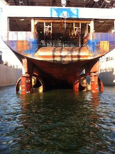 Diver Dan Commercial Diving Services, Inc.