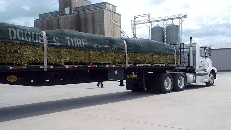 Doguet Turf Farm in Beaumont, TX