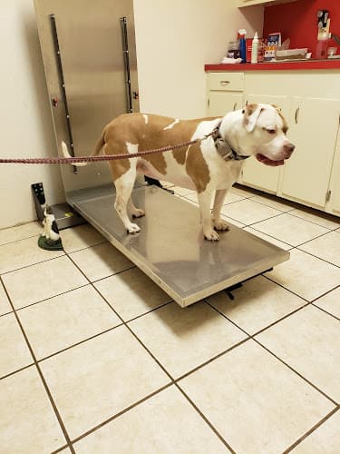Woodville Veterinary Clinic in Woodville, TX