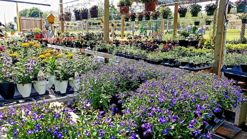 Busy B's Flowers and Pots