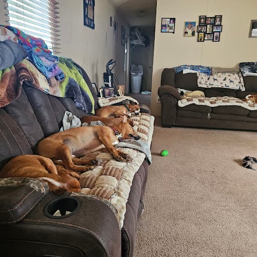 Spurlock Road Veterinary Clinic in Nederland, TX