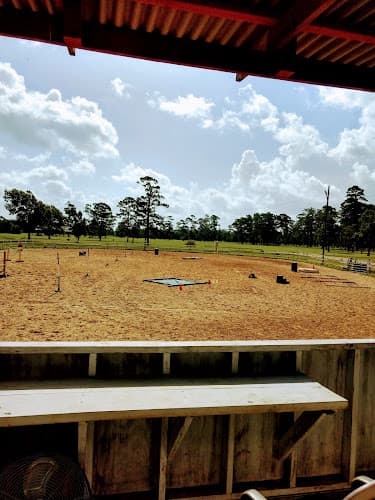 Tyrrell Park Stables in Beaumont, TX