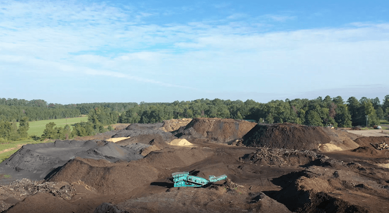 Living Earth - Pineland