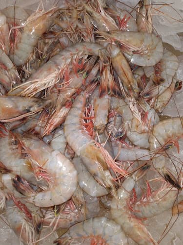 Russell's Fresh Caught Catfish and Seafood Market