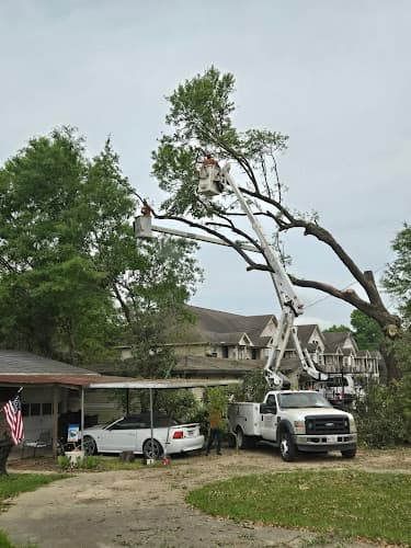 Terrell's Tree Service in Groves, TX