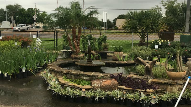 Texas Best Lawn in Nederland, TX
