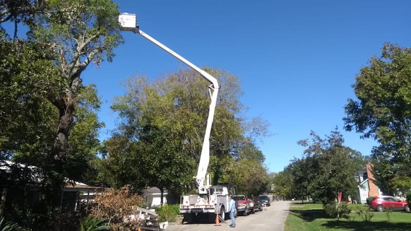 Benjamin Tree Service