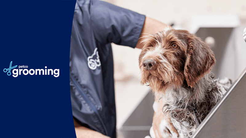 Petco Grooming in Beaumont, TX