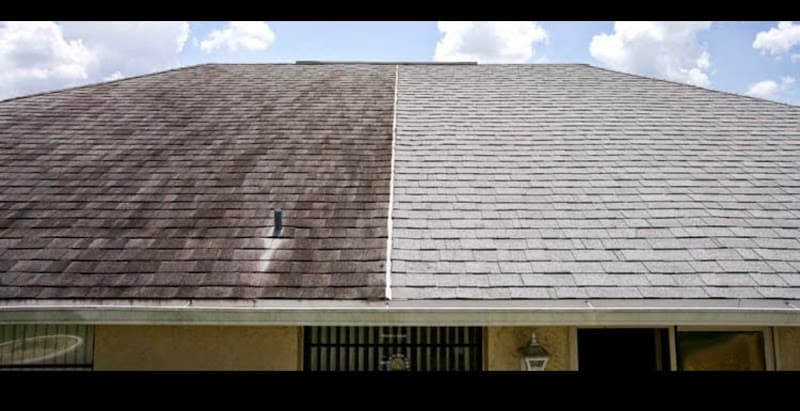 Roman Pressure Washing and Roof Cleaning in Livingston, TX